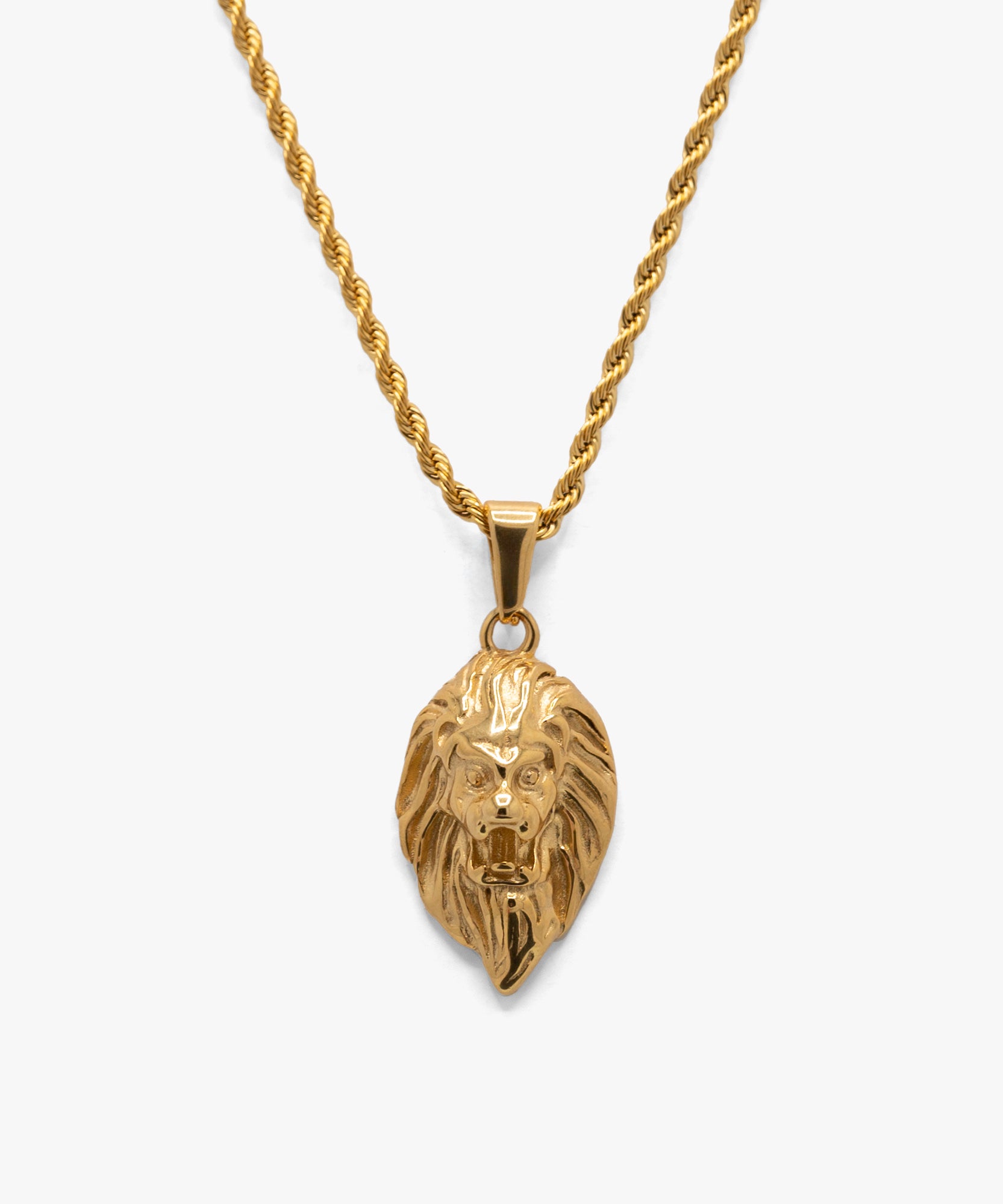 18k gold plated lion pendant with rope chain necklace, from NOVUS Amsterdam